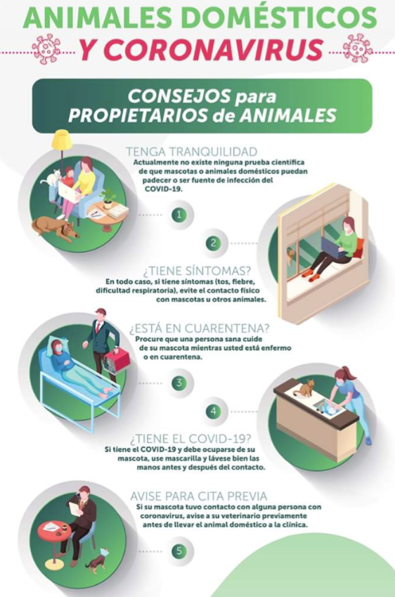 ANIMALES DOMESTICOS Y CORONAVIRUS