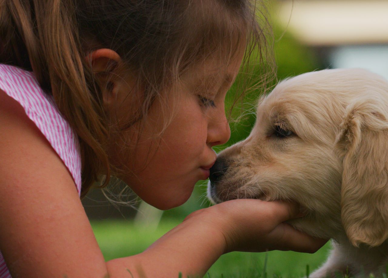 mejores desparasitantes perros