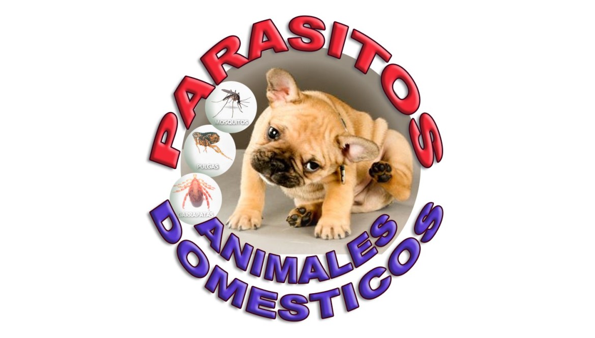 PARASITOS EXTERNOS EN ANIMALES DOMESTICOS