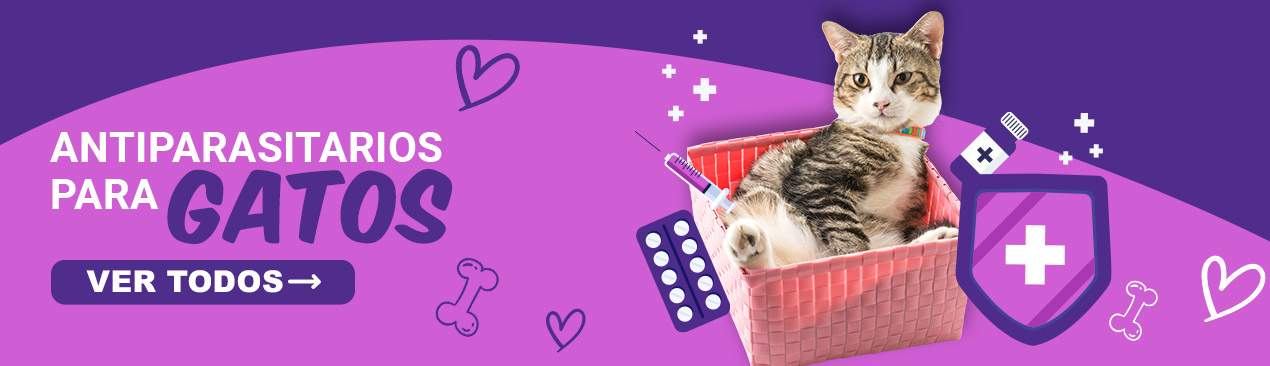 Antiparasitarios para Gatos