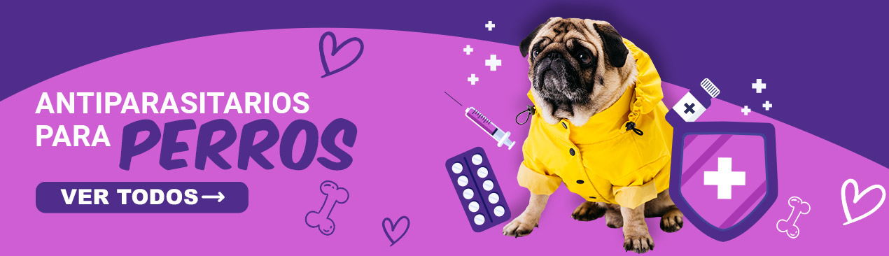 Antiparasitarios para Perros