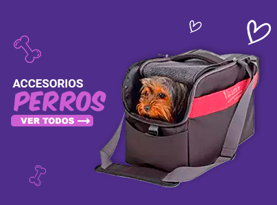 Accesorios perros