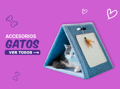 Accesorios gatos