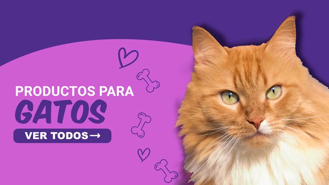 Productos para gatos