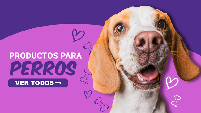 Productos para perros