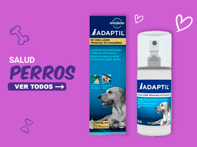 Salud Perros